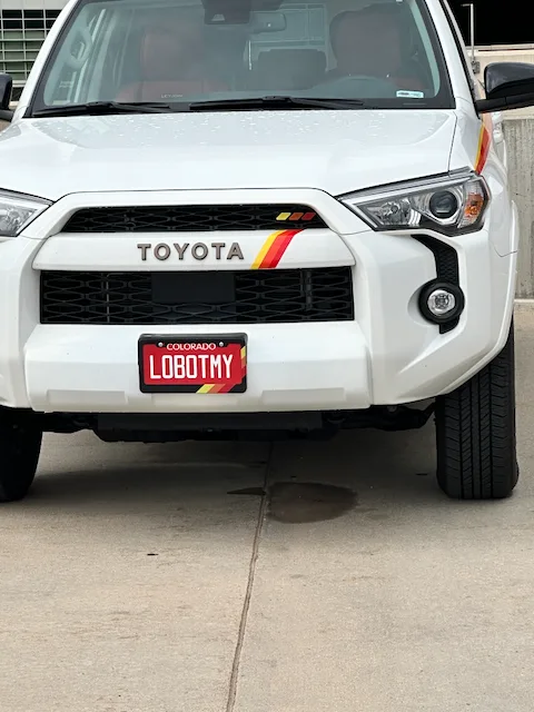 LOBOTMY — CO