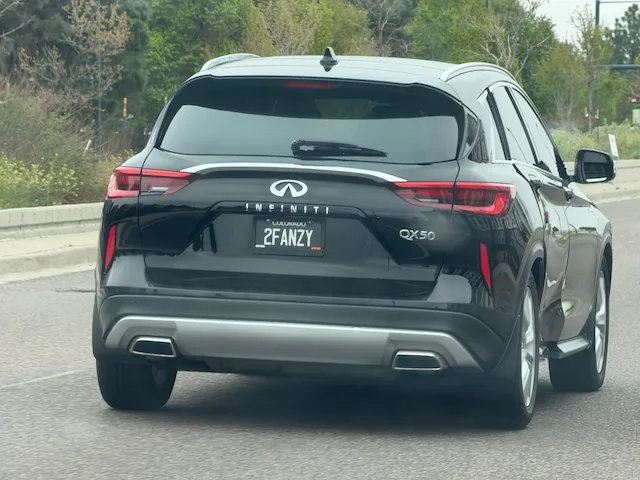 2FANZY — CA