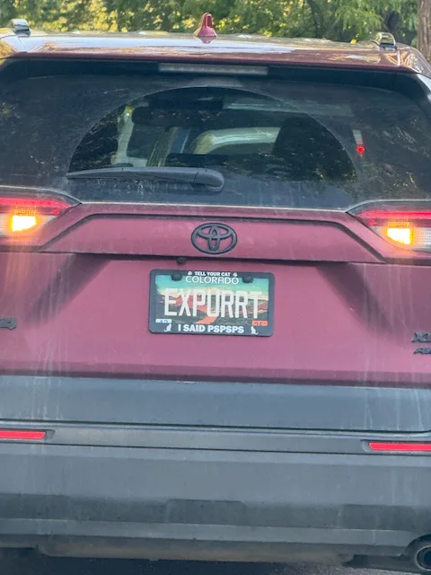 EXPURRT I SAID PSPSPS — CO