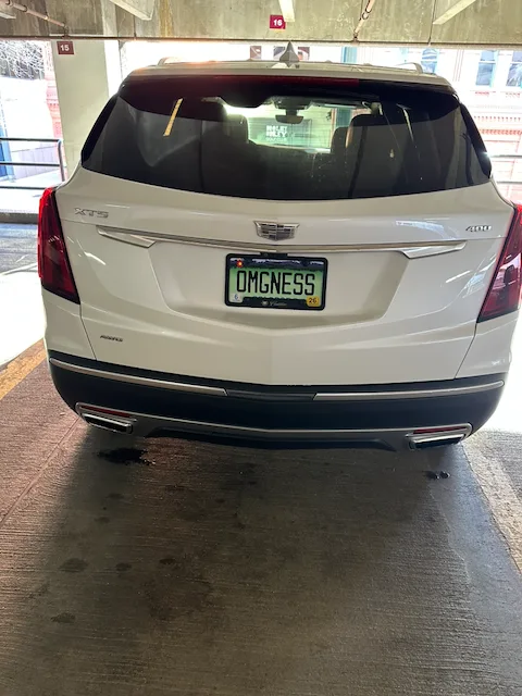 OMGNESS — MD