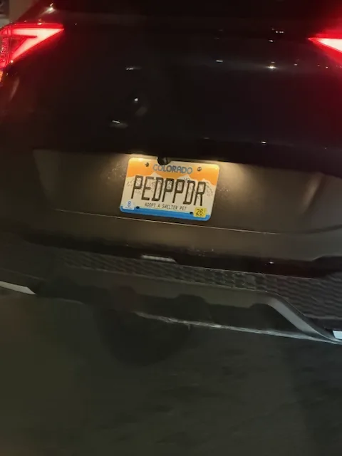 PEDPPDR — CO