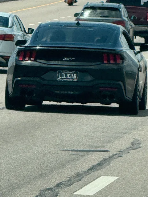L TL83AR — CO