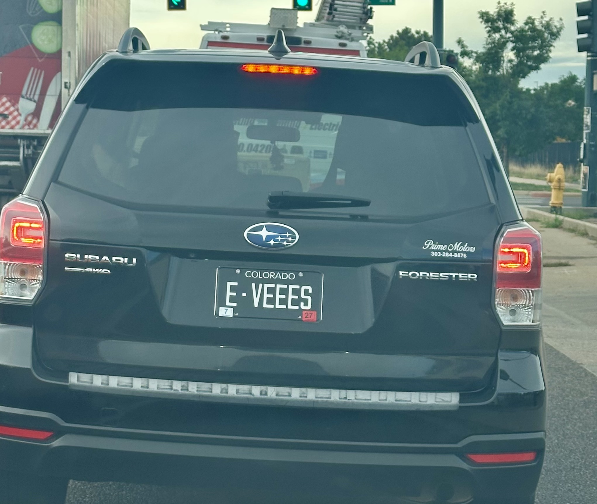E-VEEES — CO