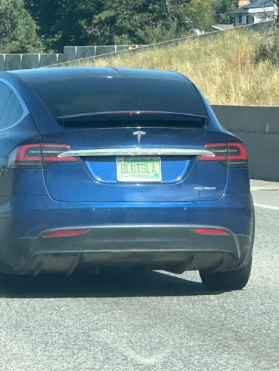 BLUTSLA