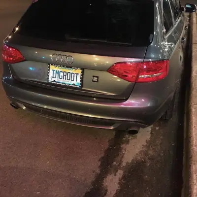 IMGROOT