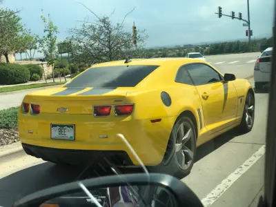 BEE