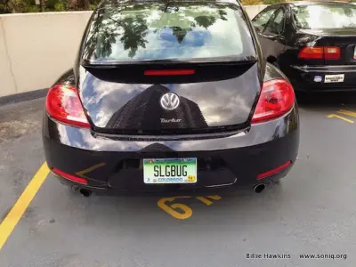 SLGBUG